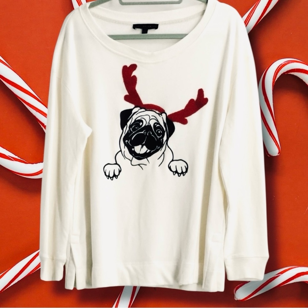 Jane Delancy Pug Sweater Sz-M Dog Holiday Party Wear Embroidered
